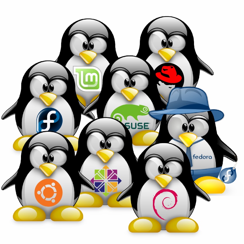 Curso de Operador y Técnico de Linux