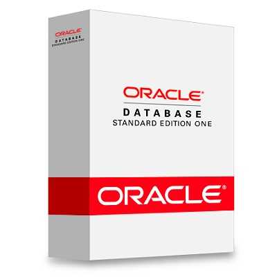 Cursos de Base de Datos Oracle 10g y 11g